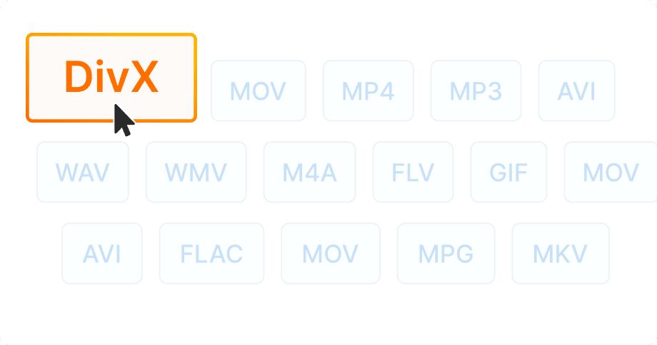 DivX 인증 기기 호환성