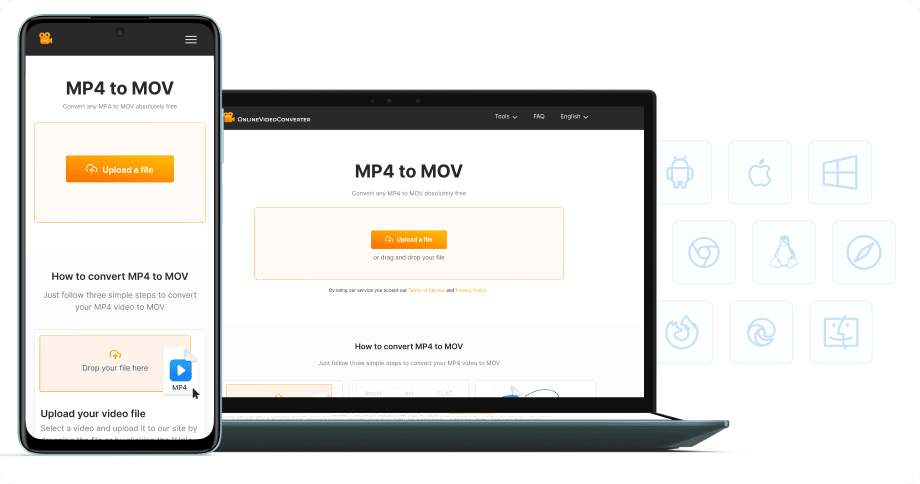 소프트웨어 설치 불필요