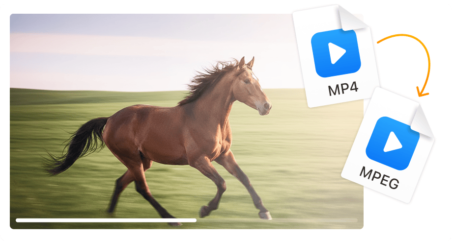 DVD 저작에 완벽