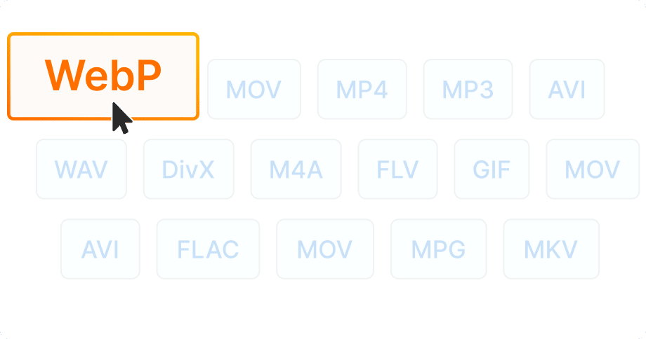 투명도 및 루프 제어